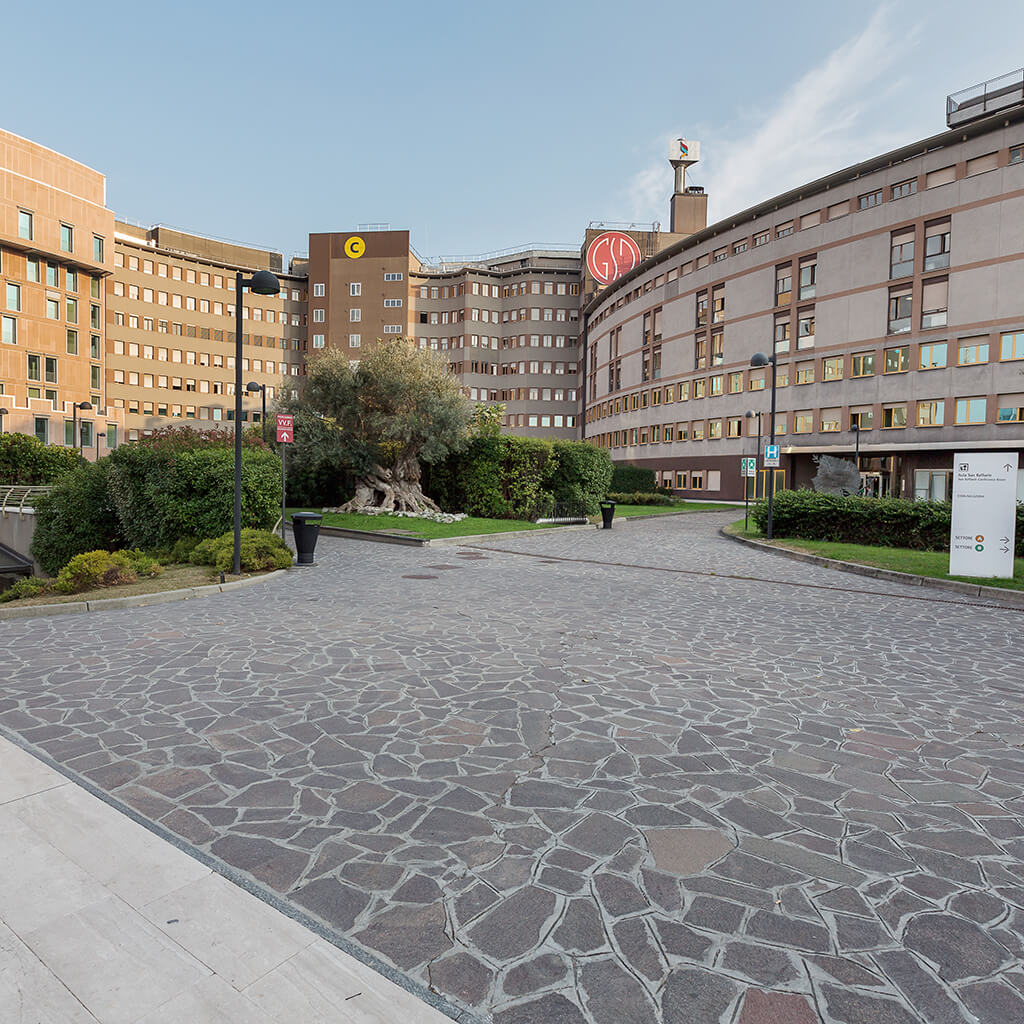 ospedale-san-raffaele-4